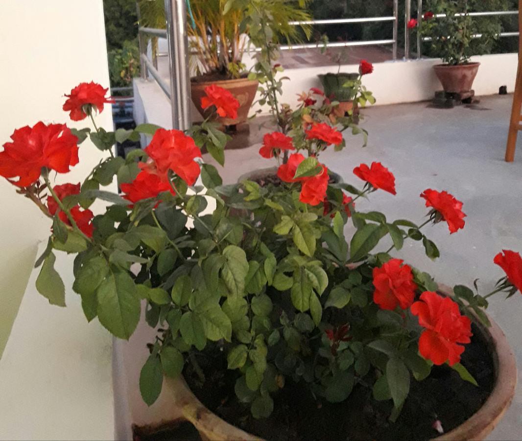 באגאן Innwa Motel מראה חיצוני תמונה
